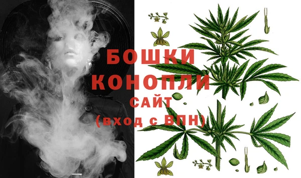 герыч Мегион
