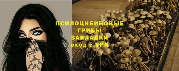 дмт Магадан