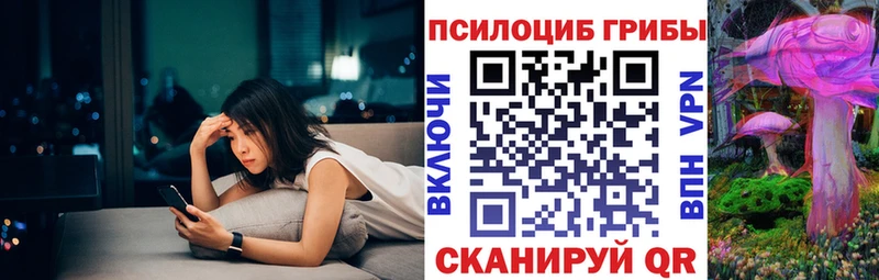 Купить закладки  Навашино  Галлюциногенные грибы Psilocybe 